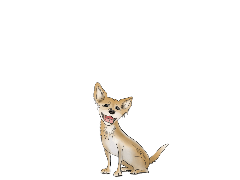 Chihuahua Hearing Package - aftercare packages for your hearing aids