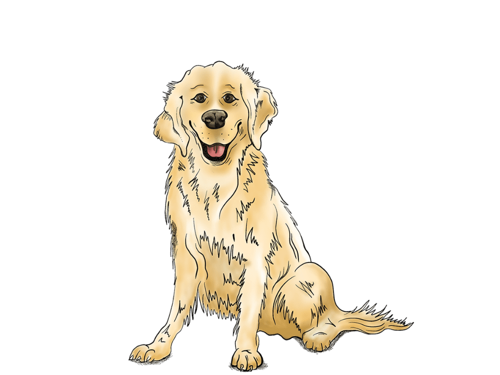 Golden Retriever Hearing Package - aftercare packages for your hearing aids