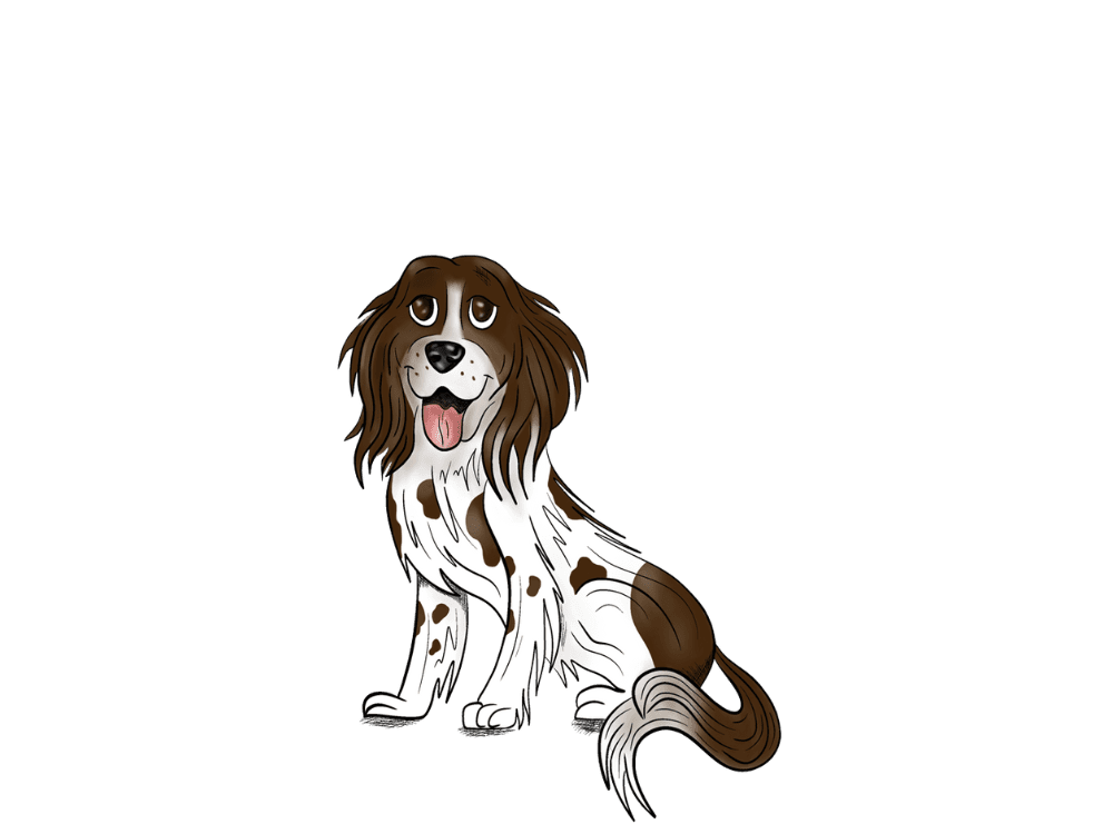Springer Spaniel Hearing Package - aftercare packages for your hearing aids