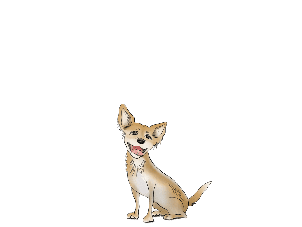 Chihuahua Hearing Package - aftercare packages for your hearing aids
