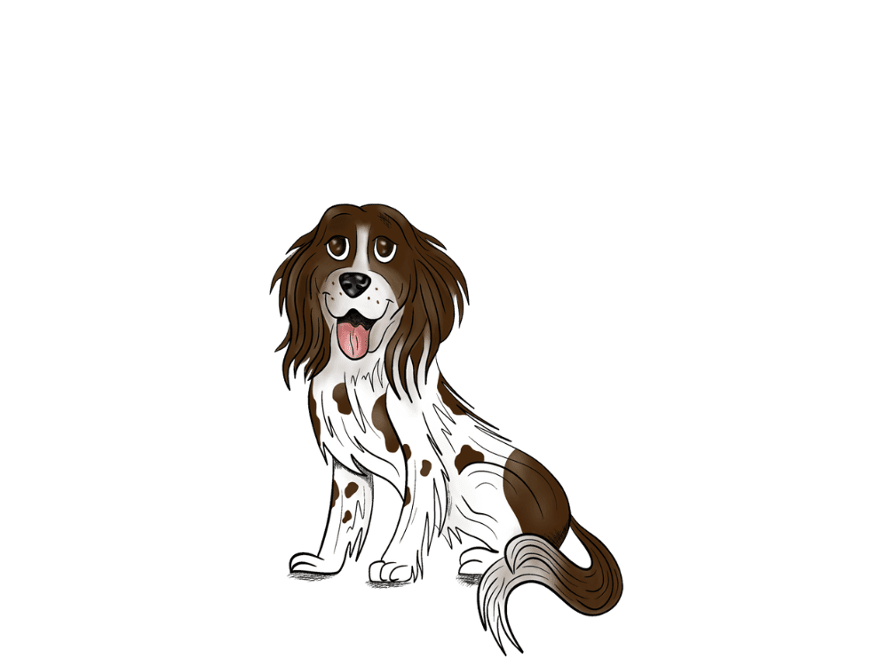 Springer Spaniel Hearing Package - aftercare packages for your hearing aids